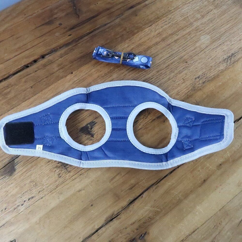 NOCAESON BLUE HARNESS WITH MATCHING 6 FT LEASH SIZE MEDIUM NEW WITH TAGS - Picture 6 of 9